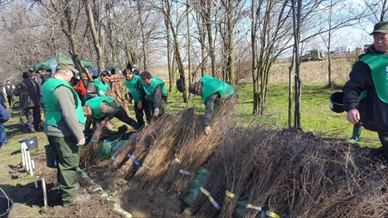 7116F614-EC95-43B1-981E-80E201C566C7