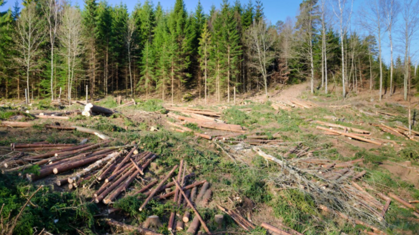 80EB74F9-F612-4B57-8059-5F5CB23B66F9