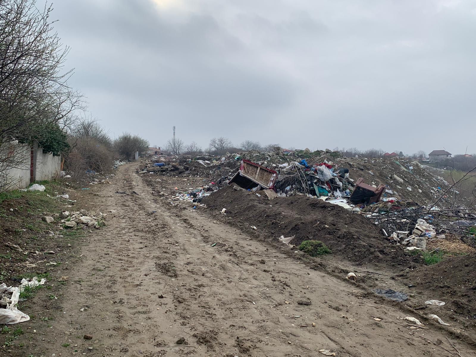 6E534741-7D2B-4CD8-9FC7-5C0F70966A84