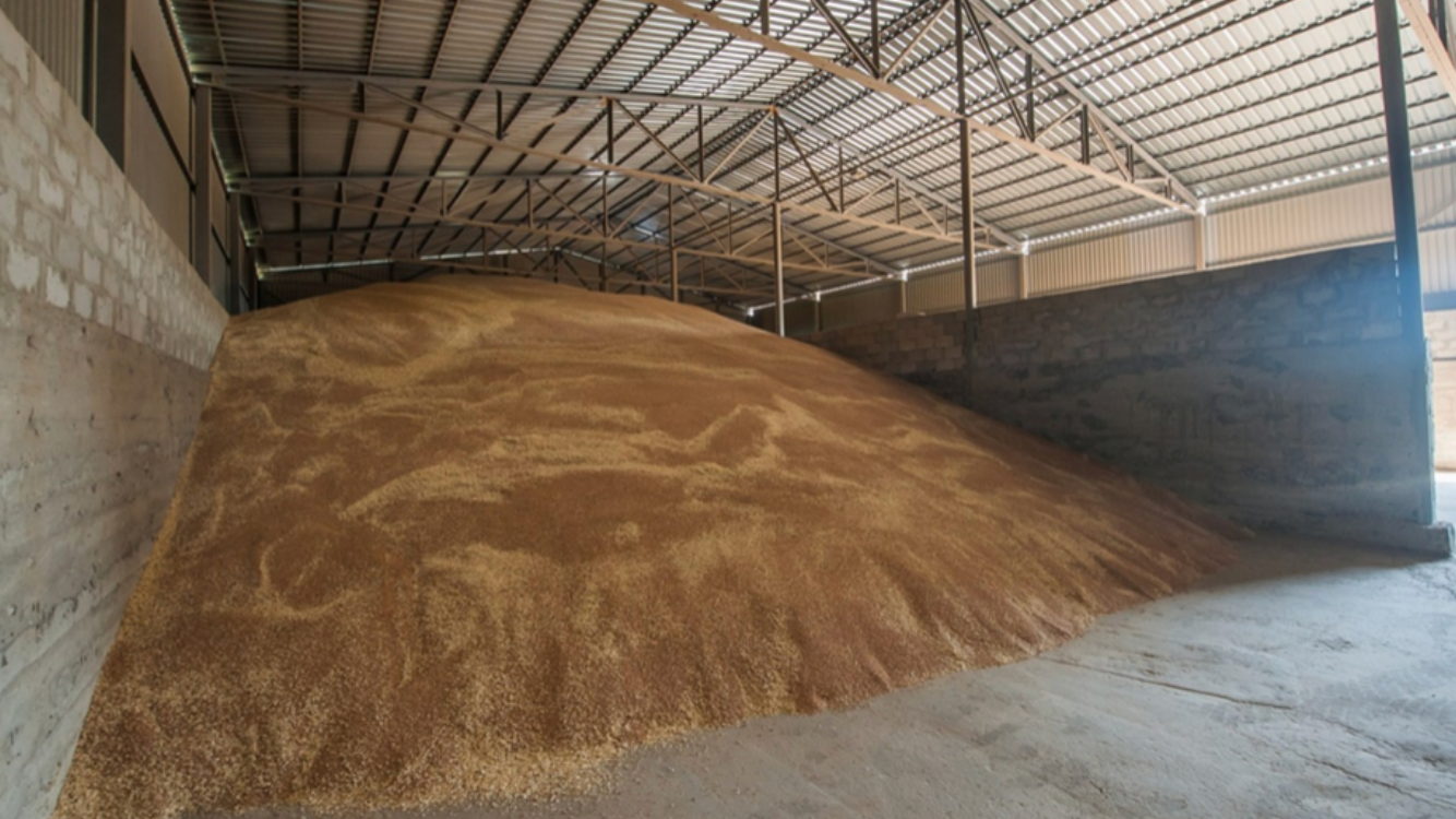 9A96F2CB-D1D3-42B4-ADAD-28C00408A376