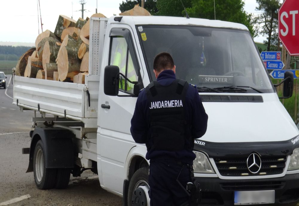 Transporturi ilegale de lemn depistate de jandarmii suceveni FOTO