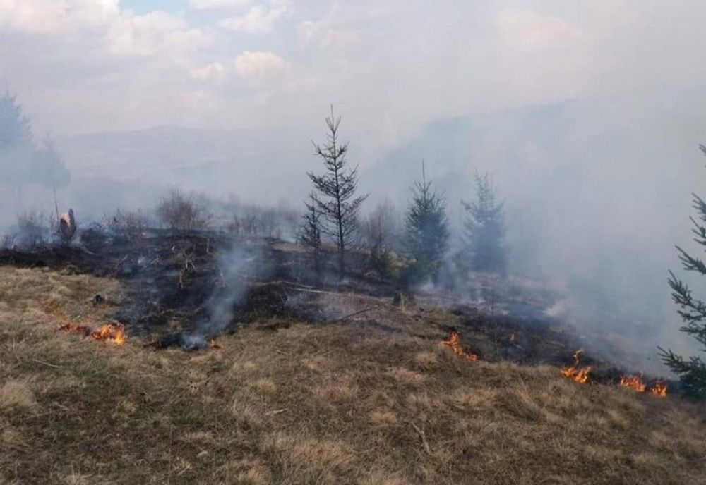 Incendiu de vegetație în zona Gheorgheni, extins pe 15 hectare