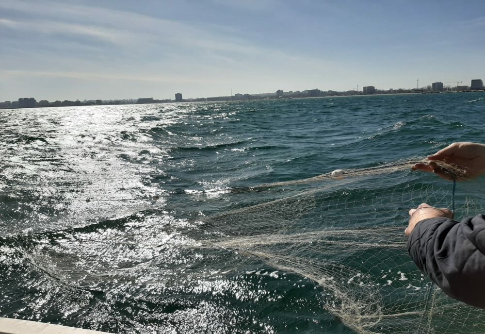 Expediții științifice de evaluare a stocurilor de rapana în Marea Neagră