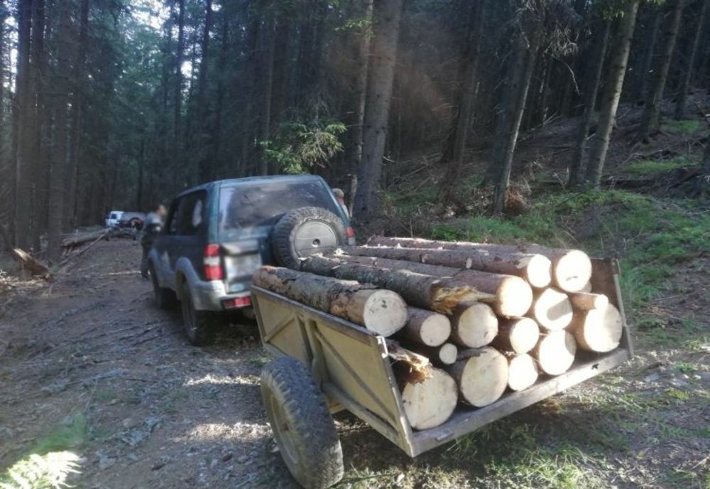 Jandarmii harghiteni au aplicat, în septembrie, amenzi în valoare de 13.000 de lei la regimul silvic