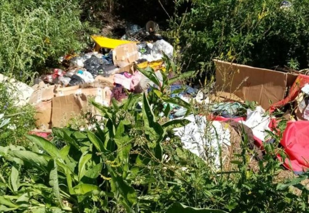 De la începutul anului, Garda de Mediu Covasna a dat amenzi de peste 850.000 de lei