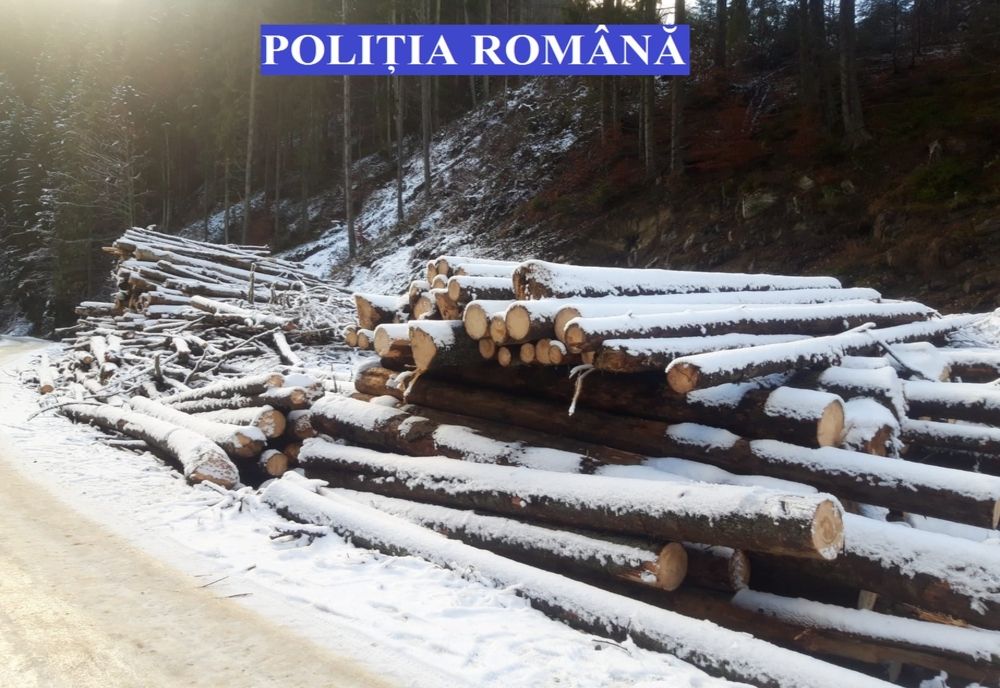 FOTO: Circa 120 mc de lemn confiscați de polițiști la Ilva Mare! O firmă și un pădurar, cu dosare penale