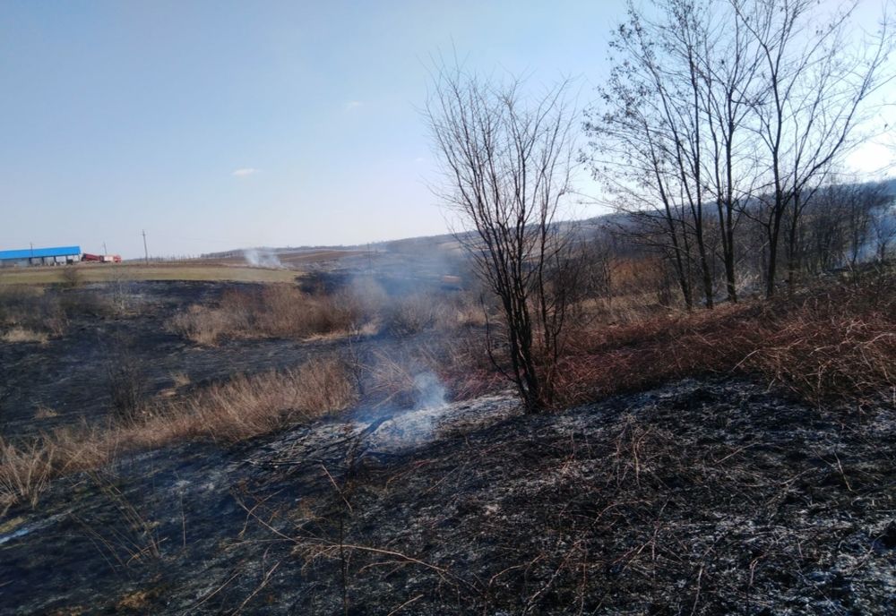 Nouă hectare de vegetație uscată făcute scrum din cauza unui fumător neglijent