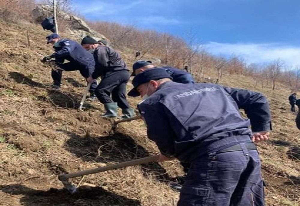 Împădurire în Topolova