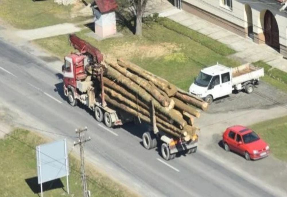 TIR-urile încărcate cu lemne, survolate de elicoptere. Tăieri ilegale din pădurile din Caraș-Severin