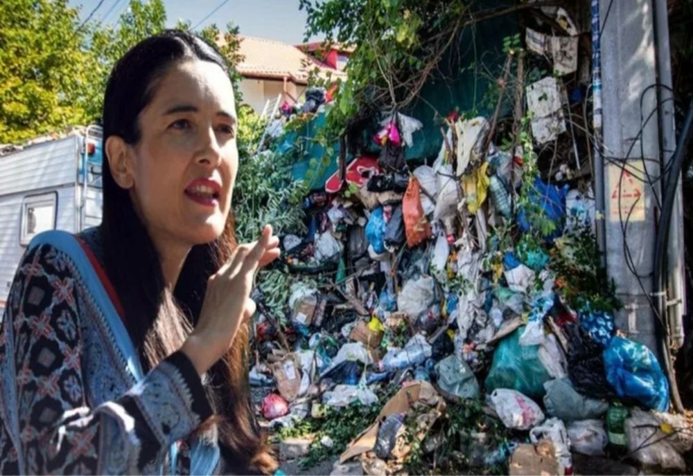 ”Unde este DNA?”. Partidul Ecologist Român o critica dur Armand dupa noul contract cu firma de salubritate controversata