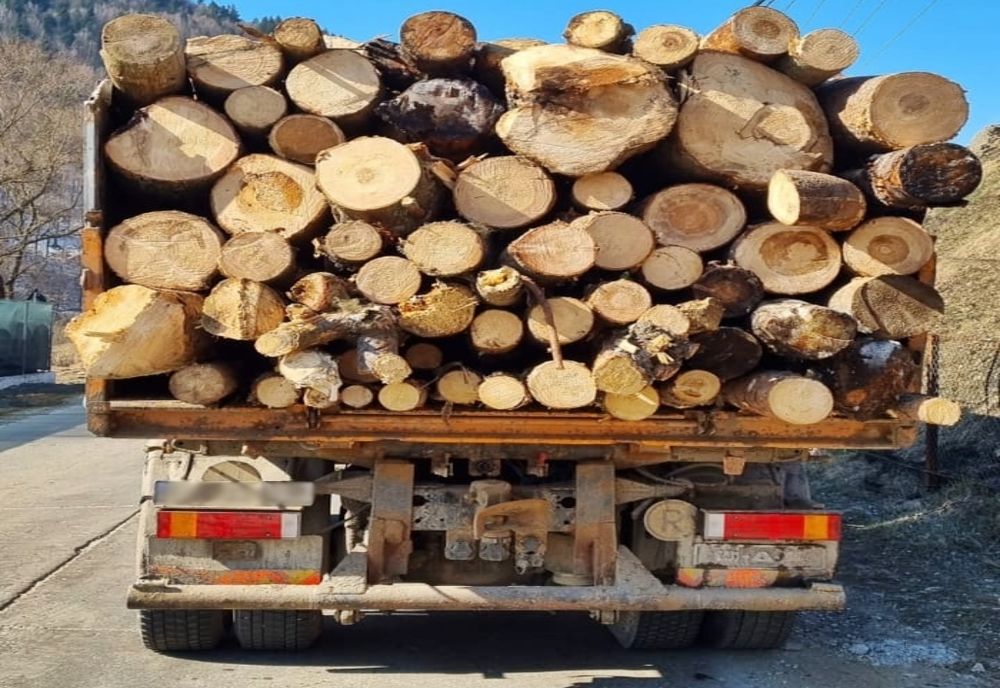 Transport de material lemnos cu neconcordanţe atât din punct de vedere cantitativ, cât şi al speciilor înscrise în avizul de însoţire