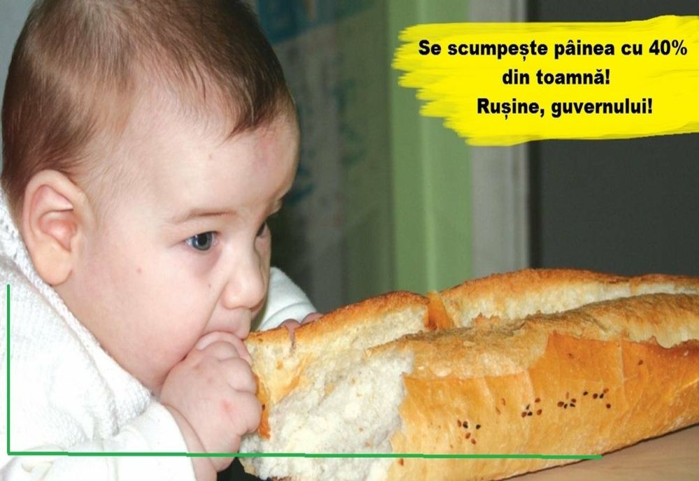 Partidul Ecologist Roman critică guvernul pentru ca nu a plafonat preturile la produsele de bază