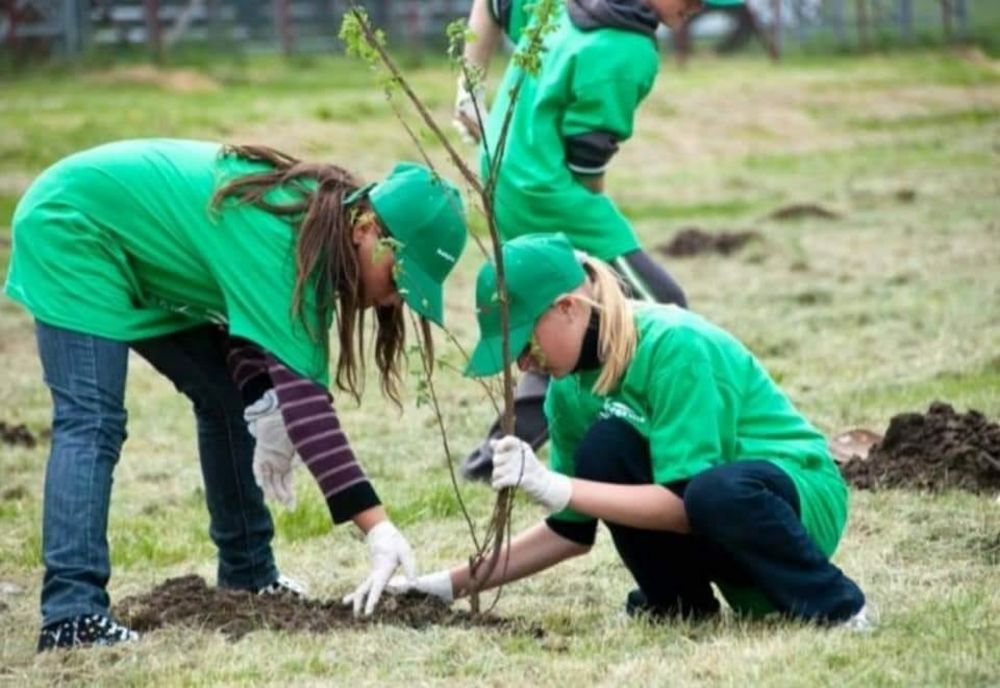 PER: Facem apel către toți ecologiștii din țară să organizeze sau să se implice în acțiuni de plantare arbori. Este perioada cea mai indicată