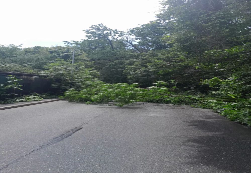 Partidul Ecologist Român: Este timpul să punem pe primul loc siguranța și protecția mediului!