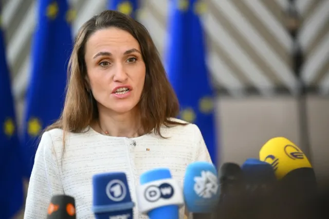 Oana Țoiu: Întâlnirea cu ambasadoarea SUA a fost neoficială
