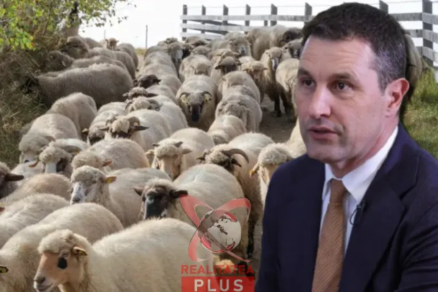 Ministrul Agriculturii a discutat cu omologul turc despre importanța facilitării tranzitului,prin Turcia, a carcaselor de ovine și al animalelor vii