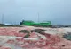 Zăpadă roșie în Antarctica. Un fenomen întâlnit de mai mult timp pe ghețarii din zona arctică.