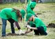 De săptămâna viitoare începe o amplă campanie de plantare arbori în localitățile din vecinătatea Sucevei