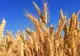 PER cere ieşirea din “carantină” a Ministerului Agriculturii
