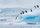 Un iceberg de 175 de kilometri pătrați plutește spre peninsula Antarctica