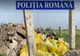Sute de tone de deșeuri periculoase provenite de la spitale COVID-19, abandonate pe câmp