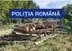 Delicte silvice