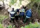 Acțiune de ecologizare la care au participat pompierii din Covasna
