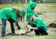 PER: Facem apel către toți ecologiștii din țară să organizeze sau să se implice în acțiuni de plantare arbori. Este perioada cea mai indicată