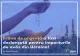 Europarlamentarul Daniel Buda: De mâine și până la 5 iunie 2025, ovăzul ucrainean importat în UE va fi supus contingentului tarifar din Zona de Liber Schimb Aprofundată și Cuprinzătoare