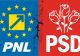 PNL, ultimatum către PSD: Să vină cu o soluție sau să stea deoparte