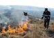 Vița de vie și vegetația de pe 5 hectare de teren, afectate de un incendiu la Urlați
