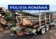 Polițiștii buzoieni au confiscat în weekend 14 mc de material lemnos